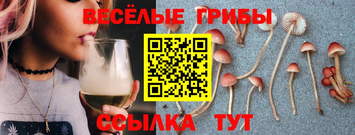 Псилоцибиновые грибы ЛСД Магнитогорск